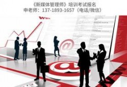 爆料网红领巾最新版介绍,时尚潮流与实用功能的完美结合