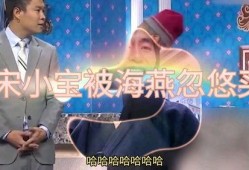 海燕爆料宋小宝视频,揭秘娱乐圈背后的故事